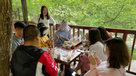 赏金国际官方网站图片